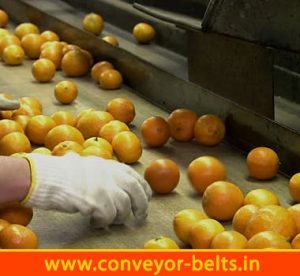 Fruits Conveyor Belts India