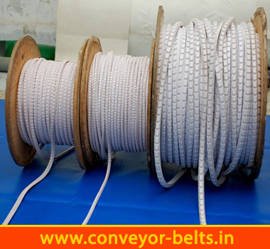 Conveyor Belts For Automobile Spares Parts India