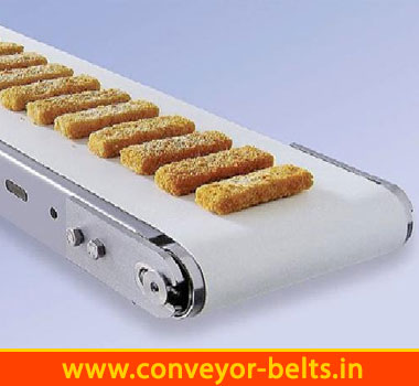 Food Conveyor Belts Manufacturer