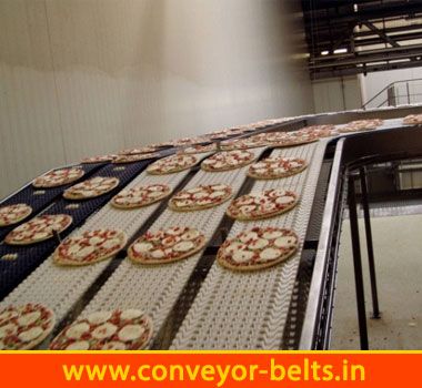 Conveyor Belts For Food Industry manufacturer