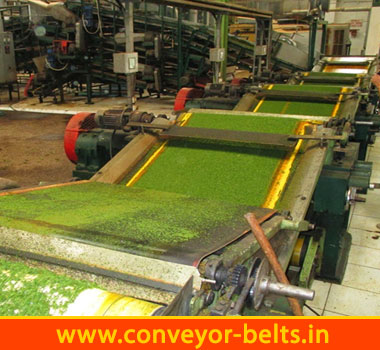 Tea Leaf Conveyor Belts India