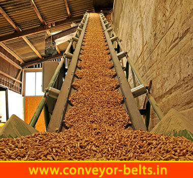 Conveyor Belts For Wood Industry India